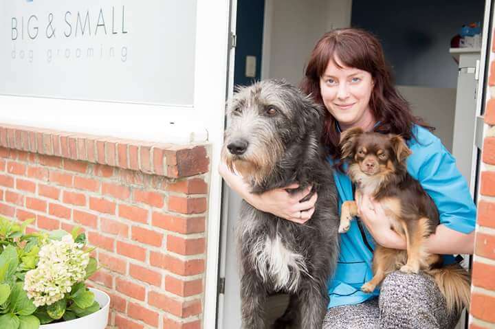 hondentrimmers Geel Big & Small dog grooming