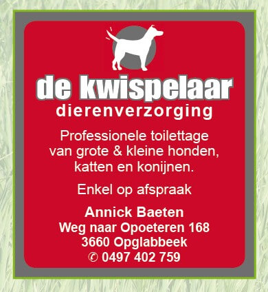 hondentrimmers Antwerpen dierenkapsalon de kwispelaar