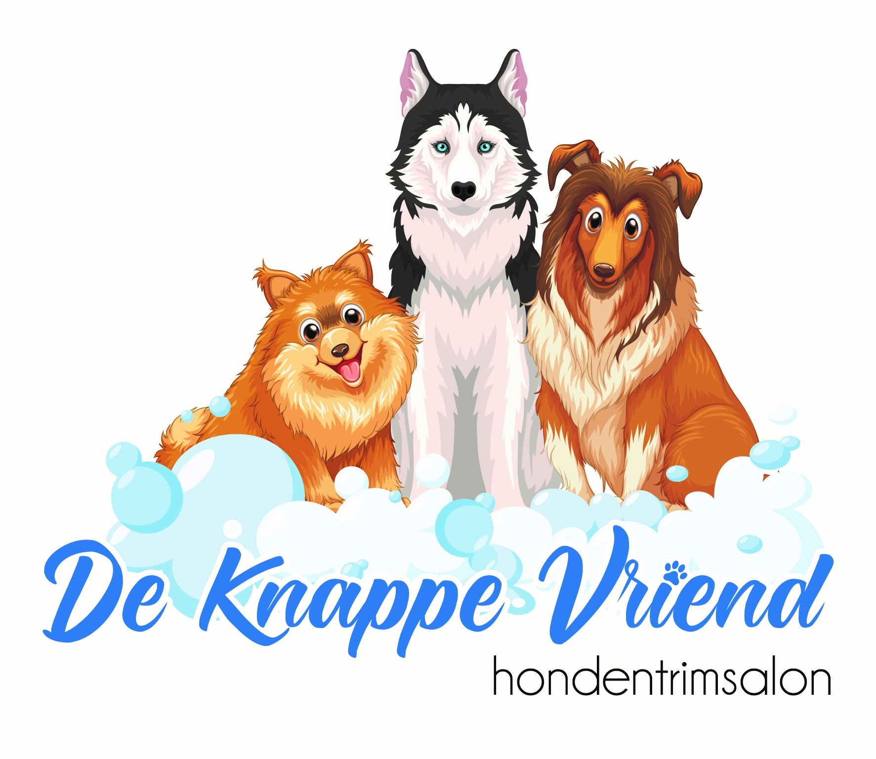 hondentrimmers Sint-Niklaas De Knappe Vriend