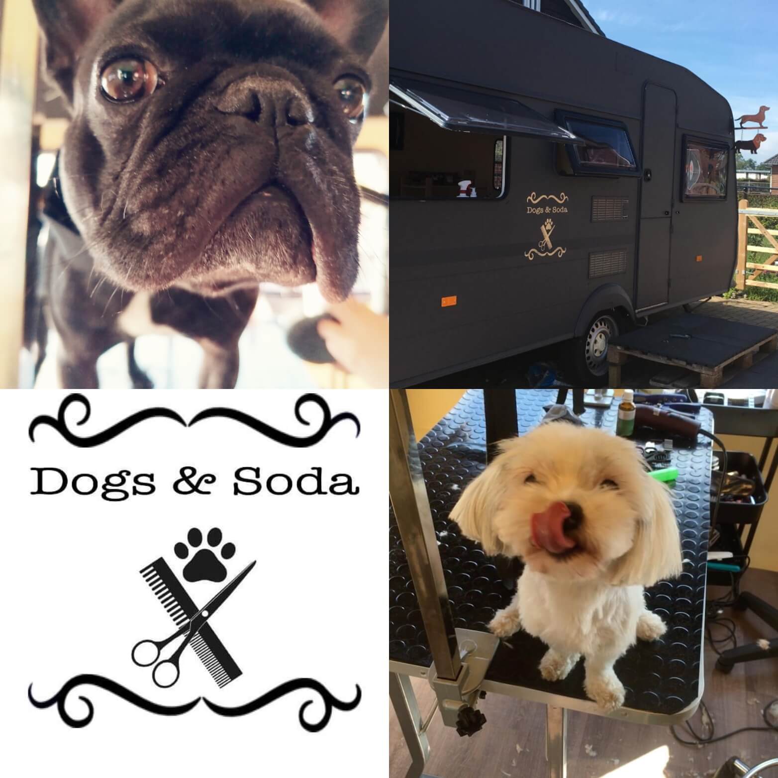 hondentrimmers As Dogs & Soda