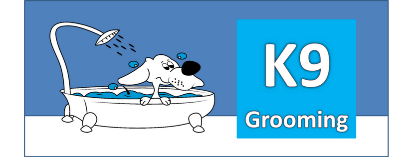 hondentrimmers Antwerpen K9 Grooming