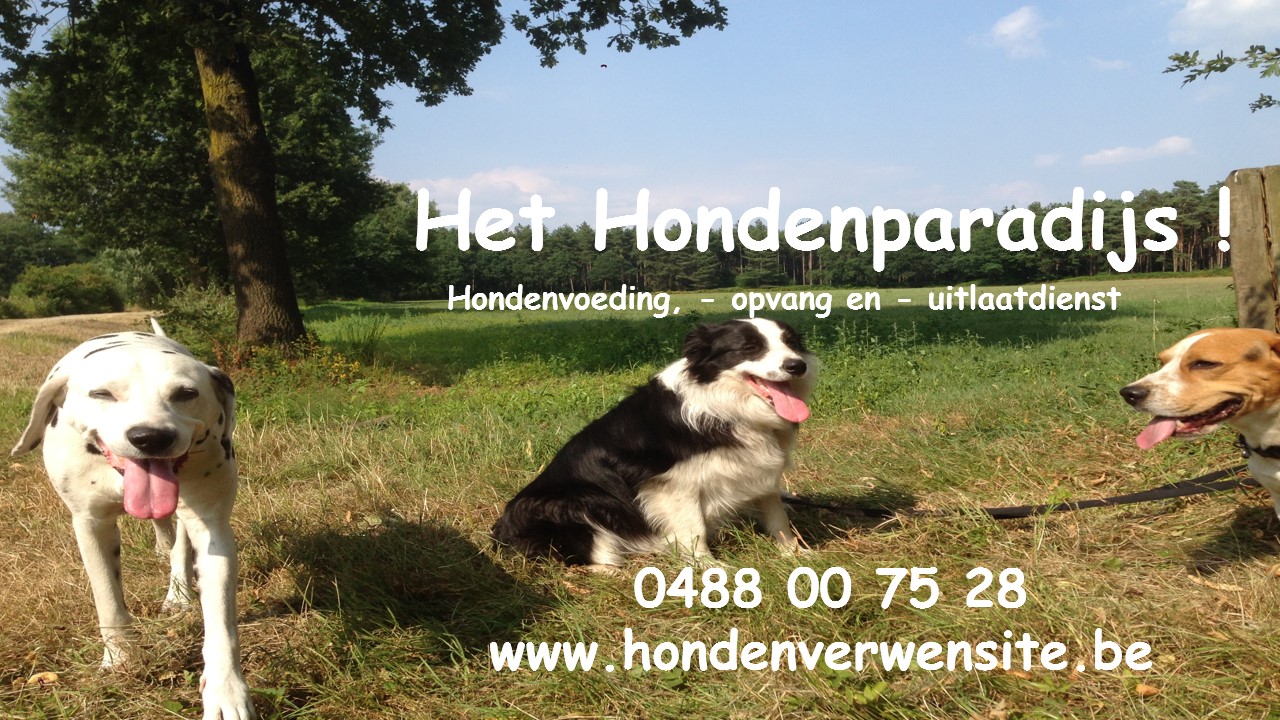 hondentrimmers Rijkevorsel Lekker & Gezhond (Het Hondenparadijs)